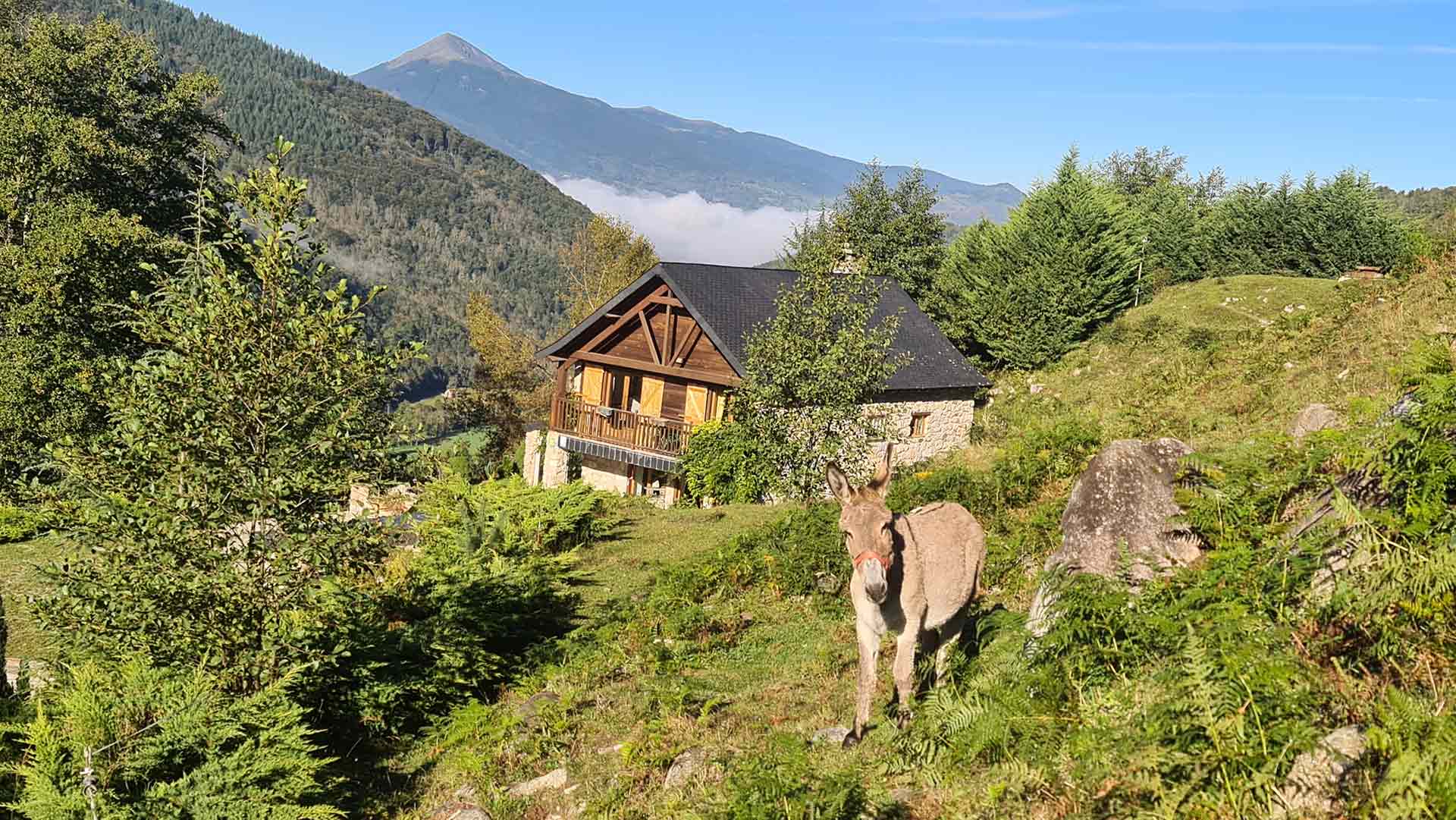 Les alentours de la maison
