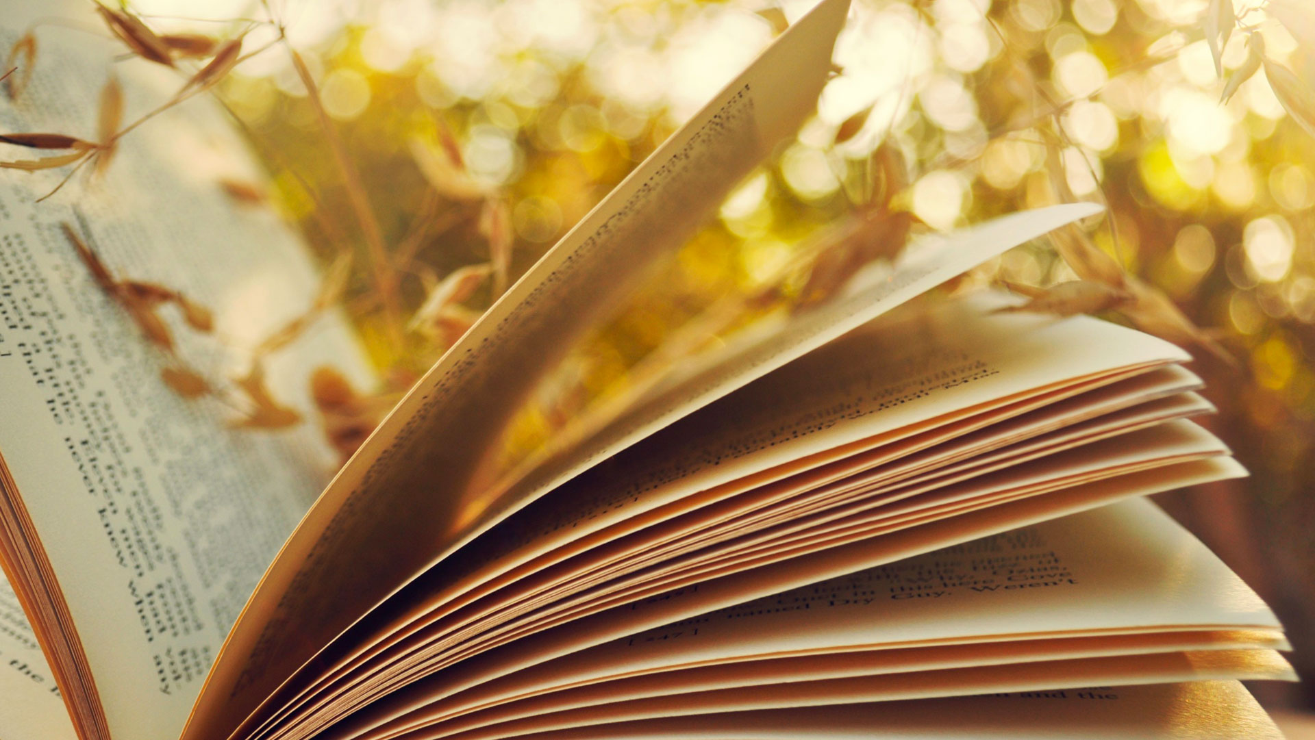 Livre d'or