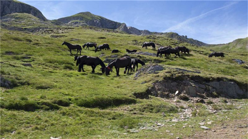 Les alentours de la maison
