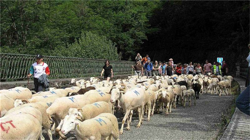 Les alentours de la maison