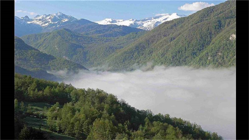 Les alentours de la maison